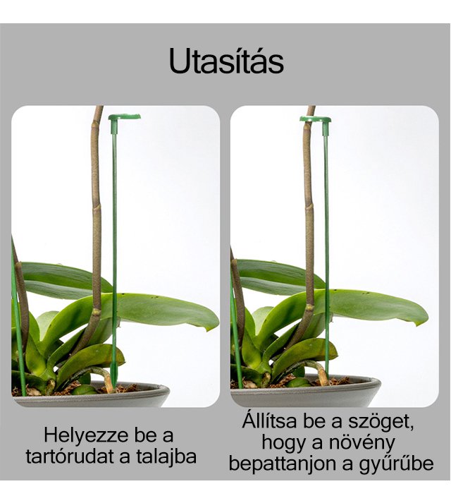 Kertész által elhelyezett növénytámasz